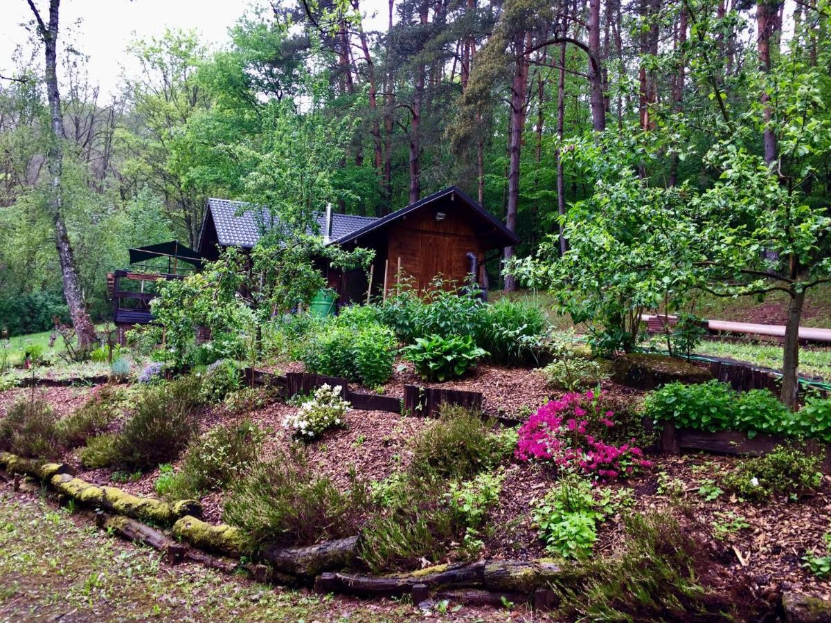 Cosy Chalet With Private Sauna In Bousseviller Quarto foto