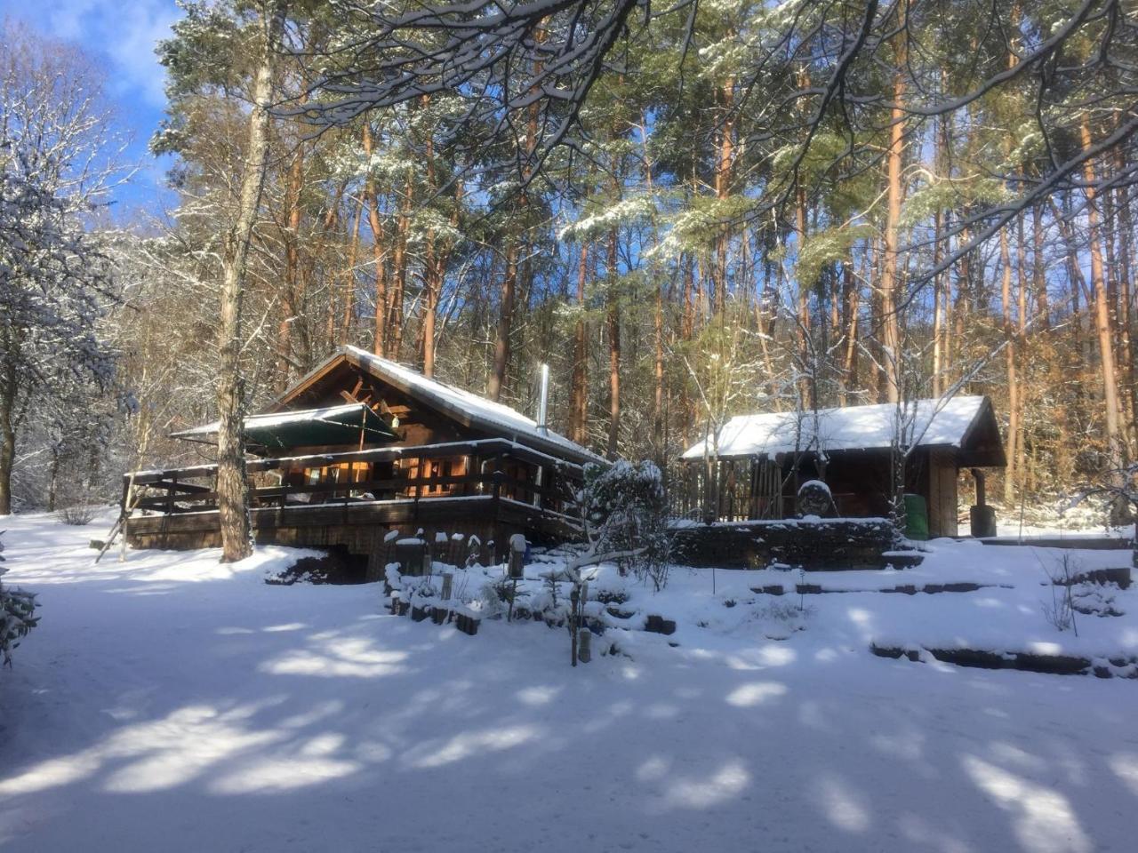Cosy Chalet With Private Sauna In Bousseviller Exterior foto